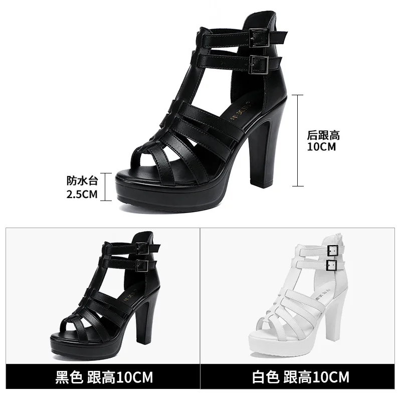 Gladiator Ladies Shoe for Wome - đánh giá và giá Summer Clothing Stores